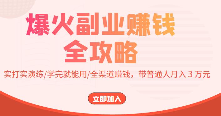 爆火副业赚钱全攻略：实打实演练/学完就能用/全渠道赚钱，带普通人月入３万元