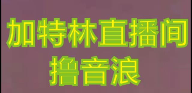 抖音加特林直播间搭建技术，抖音0粉开播，暴力撸音浪，2023新口子，每天800+