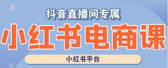 小红书电商高级运营课程，实操教学+案例分析