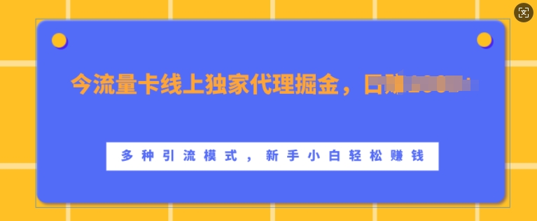 流量卡线上独家代理掘金，日入1k+ ，多种引流模式，新手小白轻松上手【揭秘】