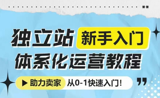 独立站新手入门体系化运营教程，助力独立站卖家从0-1快速入门