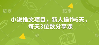 小说推文项目，新人操作6天，每天3位数分享课