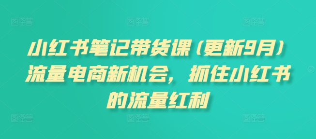 小红书笔记带货课【更新25年1月更新】流量电商新机会，抓住小红书的流量红利