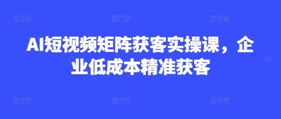 AI短视频矩阵获客实操课，企业低成本精准获客更新